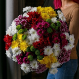 31 Chrysanthemum