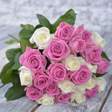 25 Pink and white roses