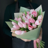 25 Pink tulips