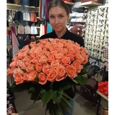 101 pink rose