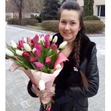 Mix of tulips