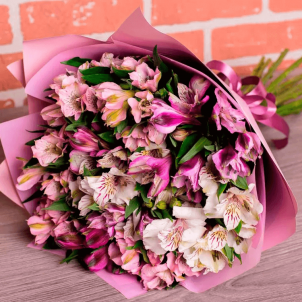 Bright Alstroemeria