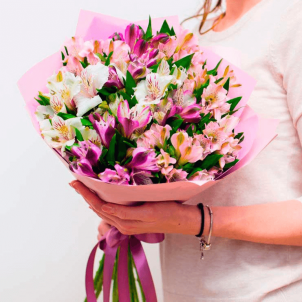 Bright Alstroemeria