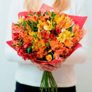 19 Alstroemeria