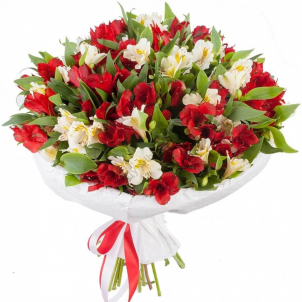 15 Alstroemeria