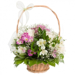 Basket "Diodorus"