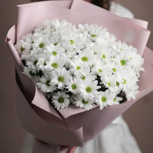 11 White chrysanthemums