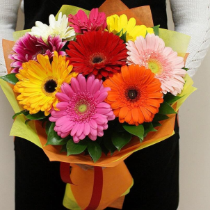 9 Colored gerbera