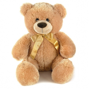 Bear Oliver