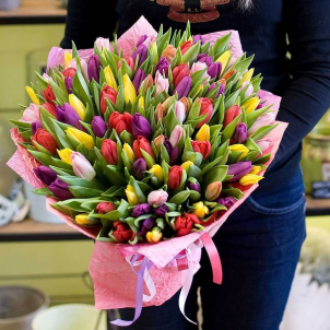 101 multi-Colored Tulip