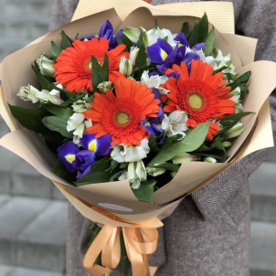 Яскрава м'якість