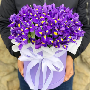 51 iris in a box