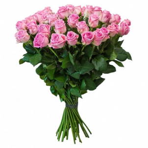 45 Pink roses