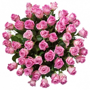 45 Pink roses