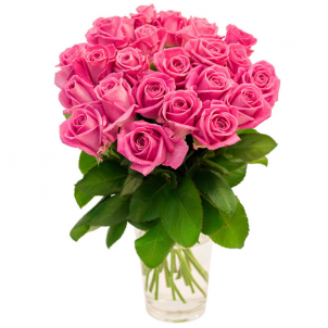 25 Pink roses