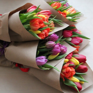 11 Tulip mix