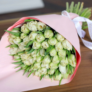 51 white tulip