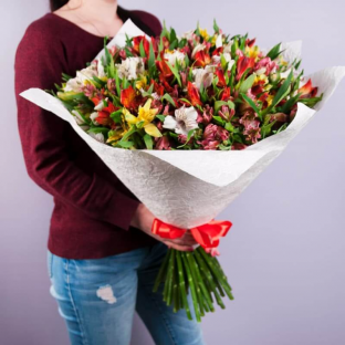 51 Alstroemeria