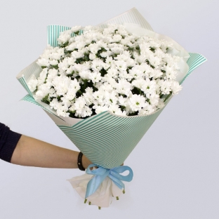 15 White chrysanthemums