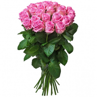 23 Розовые розы