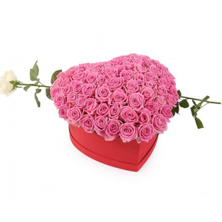 Box "Pink flair"